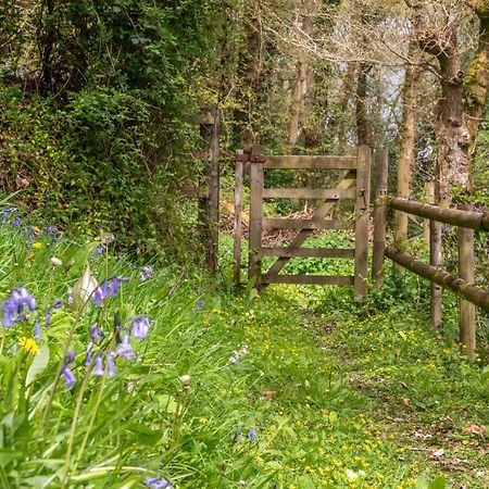 Nutsford House Bed & Breakfast Dulverton Eksteriør bilde