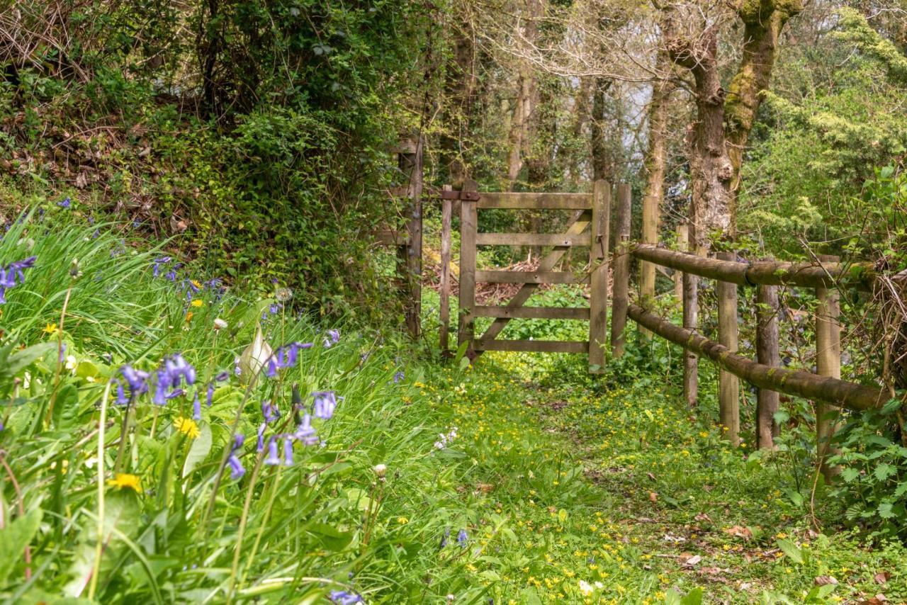 Nutsford House Bed & Breakfast Dulverton Eksteriør bilde